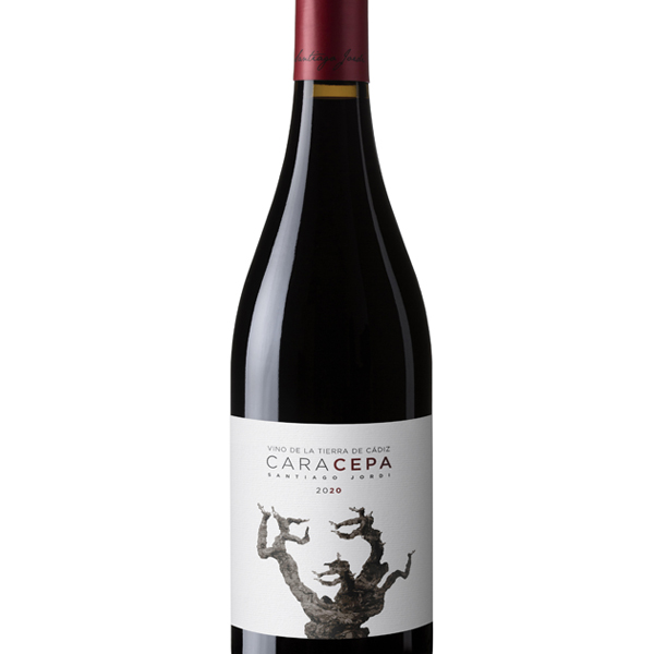 CARA CEPA TINTO 2021 