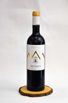 RIBERA DUERO VINO SILVANUS