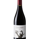 CARA CEPA TINTO 2021 